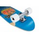 D STREET CRUISER PALM BLUE