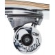 ELEMENT SKATE SEAL 8.0