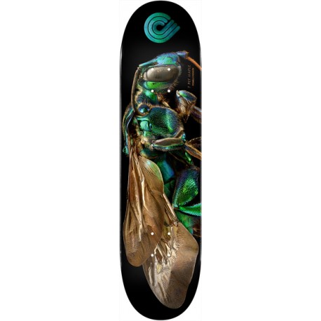 POWELL PERALTA PLATEAU BISS ORCHID CUCKOOBEE 8 "