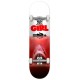 GIRL SKATE MALTO SHARK ATTACK 7.75